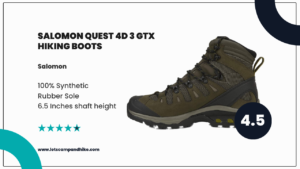 Salomon Quest 4D 3 GTX